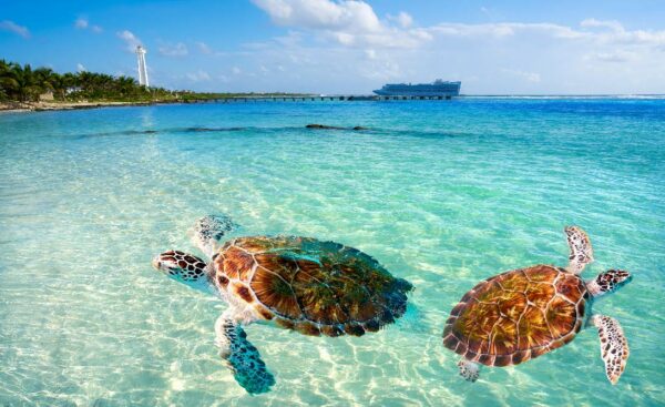 15 Tage Traumreise durch die Karibik mit der MSC World America – Bild 4