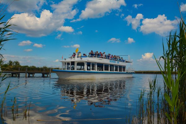 Ganslbuffet am Schiff & Adventmeile in Rust – Bild 2